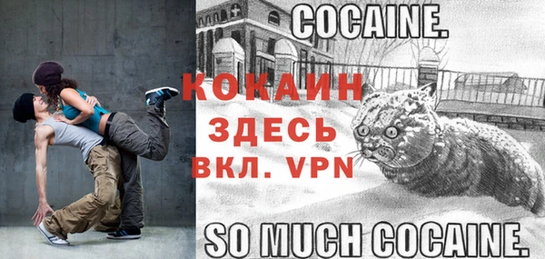 ALPHA PVP Няндома
