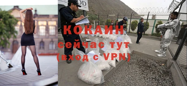 ALPHA PVP Няндома
