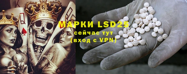 ALPHA PVP Няндома